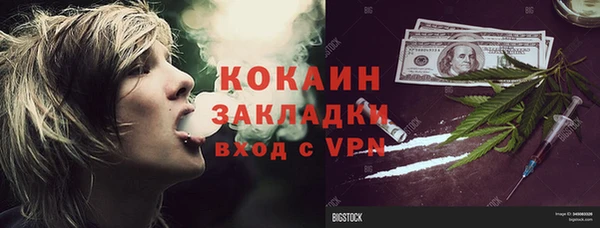 твердый Богданович