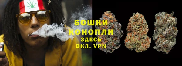 твердый Богданович