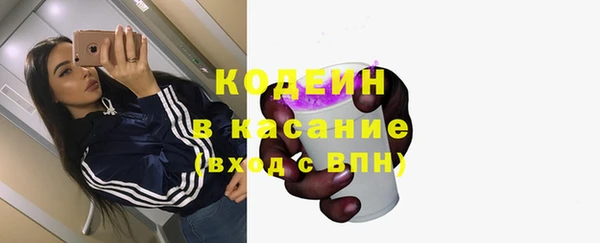 твердый Богданович
