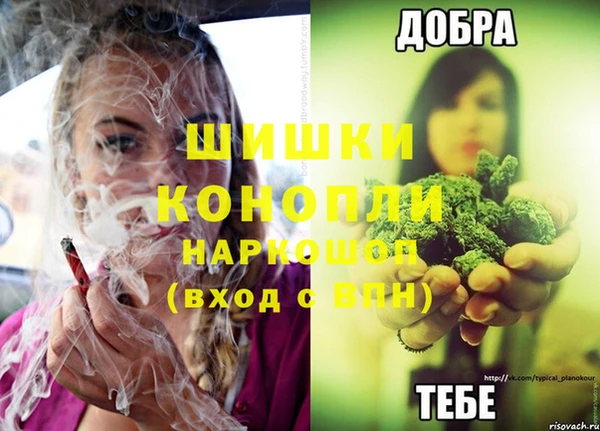jwh Богородицк
