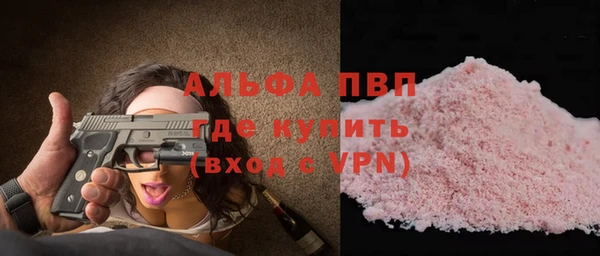 твердый Богданович